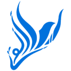 هلدینگ ایرانی نوین