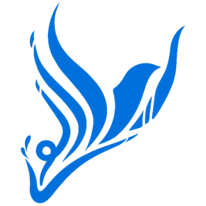 هلدینگ ایرانی نوین