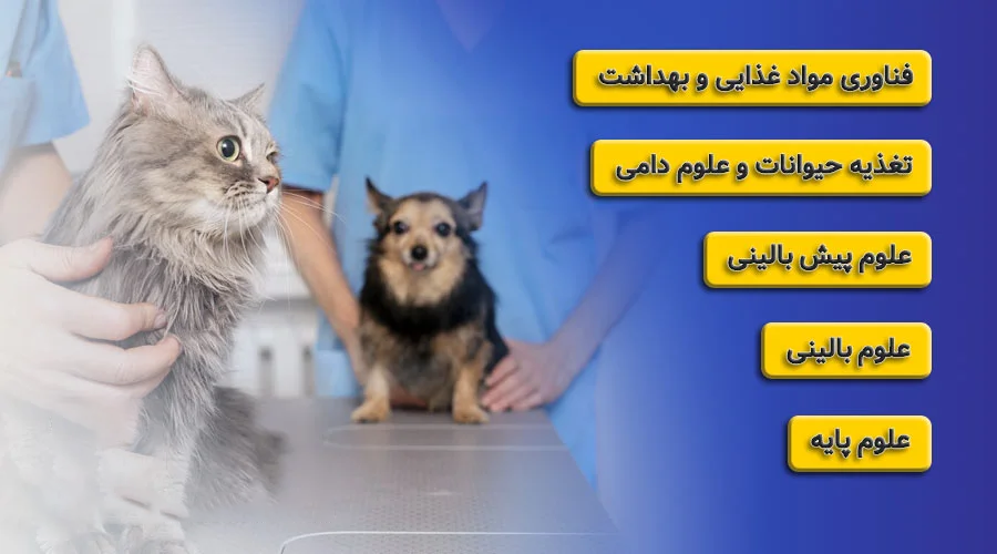 پذیرش رشته فیزیوتراپی در دانشگاه های ترکیه