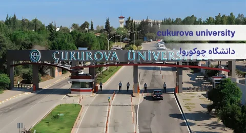 عکس شاخص دانشگاه چوکوروا