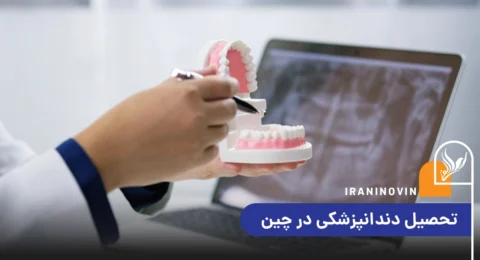 تحصیل دندانپزشکی در چین